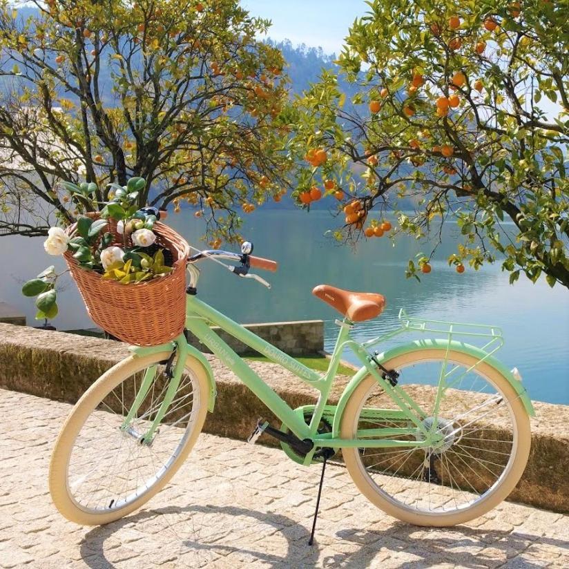 Douro Suites Риба Доуро Екстериор снимка